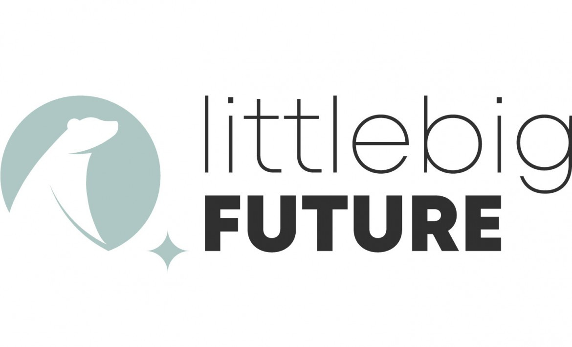 littlebigFuture gGmbH