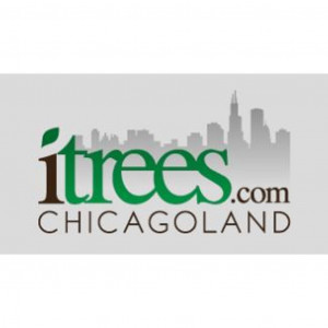 iTrees