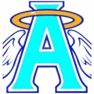 Angel Care Home Companion Services