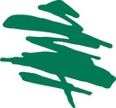 Sierra Forest Products