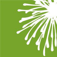 Nola Plus Design Inc.