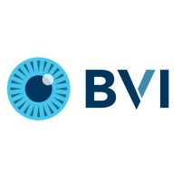 BVI Medical