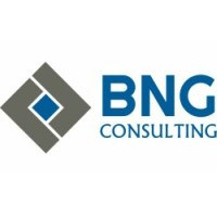 BNG Consulting, Inc.