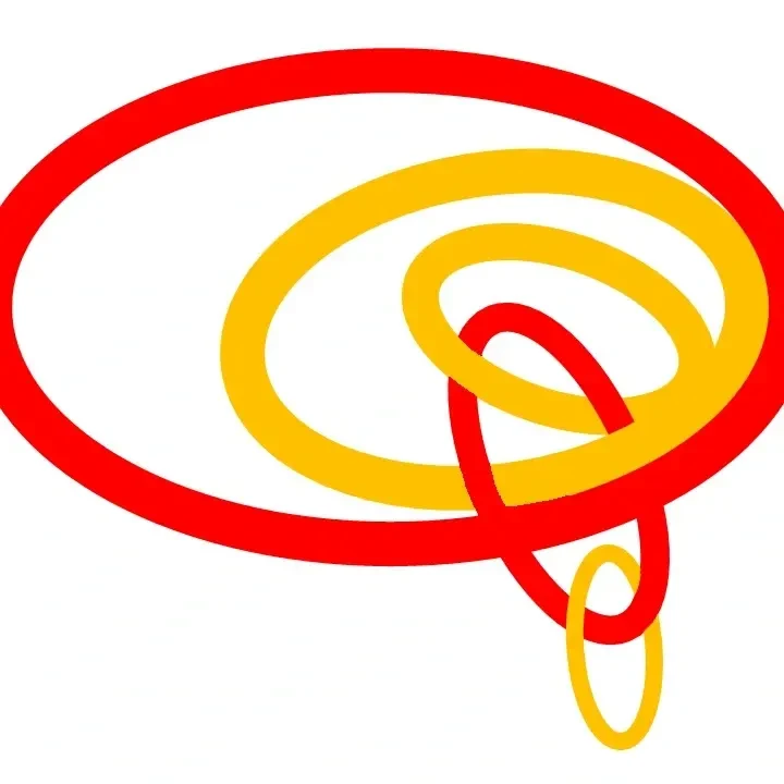 Nicoleta-Georgiana Schiess