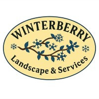 Winterberry