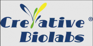 Creative Biolabs