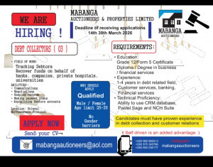 MABANGA AUCTIONEERS AND PROPERTIES LIMITED