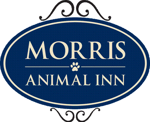 Morris Animal Inn, Inc.
