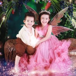 Enchanted Fairies