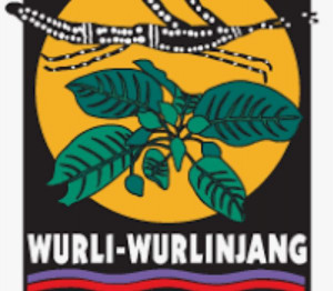 Wurli-Wurlinjang Health Service