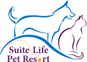 Suite Life Pet Resort