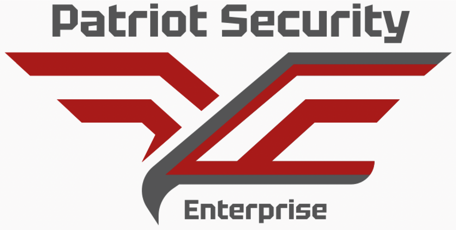 PATRIOT SECURITY ENTERPRISES LLC
