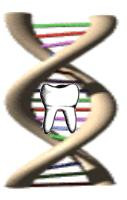 DNA Dental, PC
