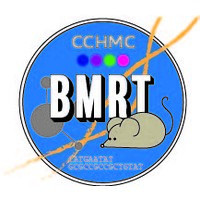 CCHMC Biomedical Research Technologies Masters Program