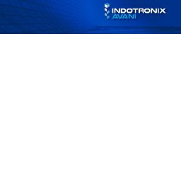 Indotronix International Corporation