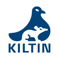 Kiltin