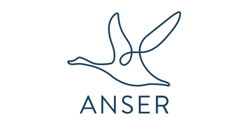 Anser