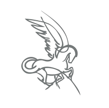 centro specialistico Pegaso