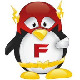 FLASH Technology Group