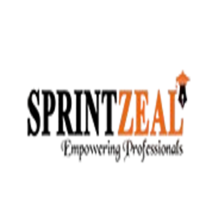 Sprintzeal private limited