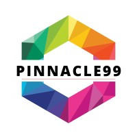 Pinnacle99 INC