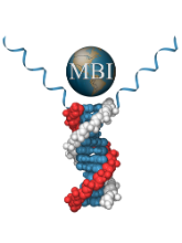 Maxim Biomedical, Inc.