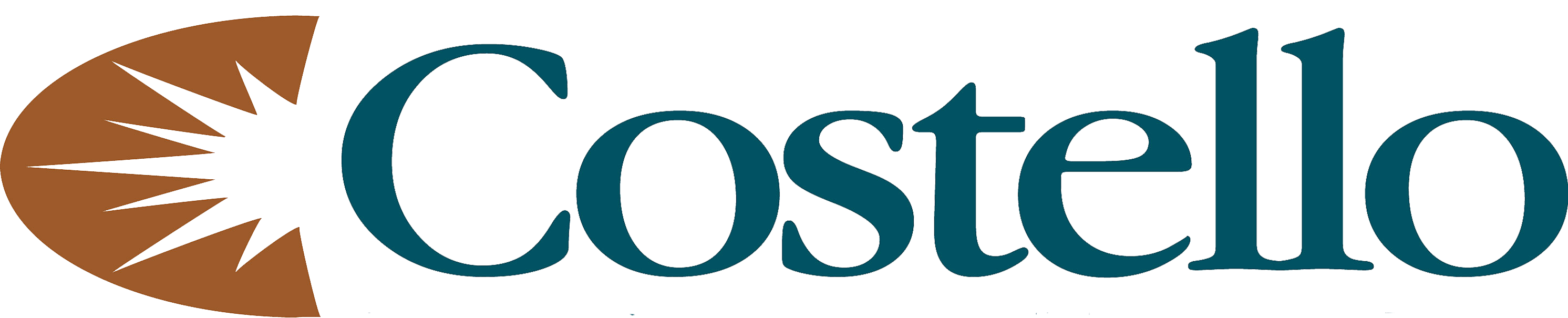 CBS LLC