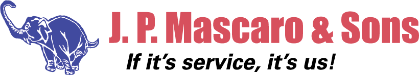 SOLID WASTE SERVICES INC