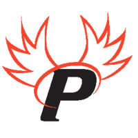 Paragon Cyber Solutions (8a, EDWOSB, SDVOSB, CMMC-C3PAO) | GSA MAS (IT & HACS) | Seaport NxGen |