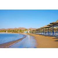 princess cruise line