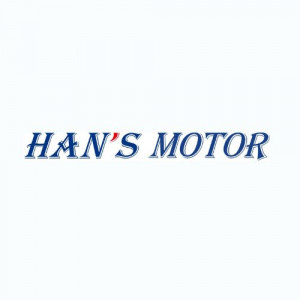 Han's Motor