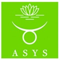 ASYS Automatic Systems GmbH & Co. KG