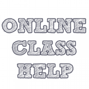 take my online course for me