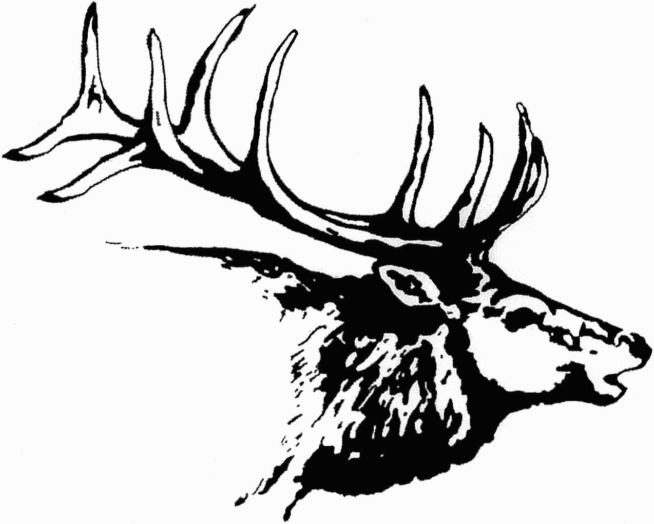 Stony Creek Joint Unified School District