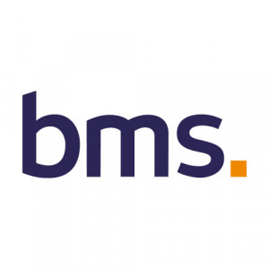 BMS Group