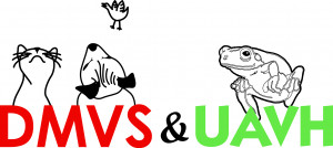 University Avenue Veterinary Hospital