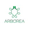 Arborea