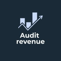 Audit revenue