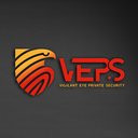 Vigilant Eye Private Security