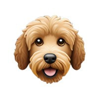 The Curly Doggo Company