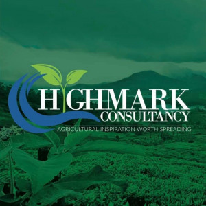 Highmark Consultancy