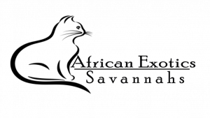 African Savannahs