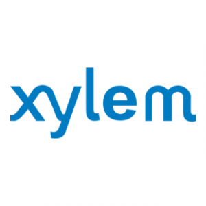 Xylem