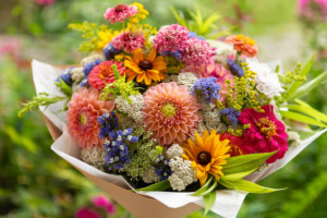 Sensation Flowers and Gifts