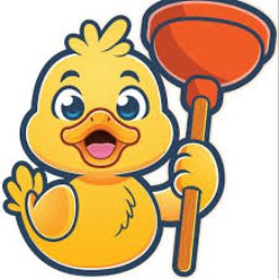 Lucky Duck Plumbing LLC