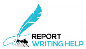 report writing hellp