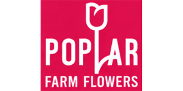 Poplar Farming