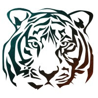 SYNA Group of Companies