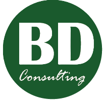 Big Dipper Consulting