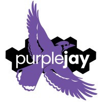 Purple Jay (SDVOSB)